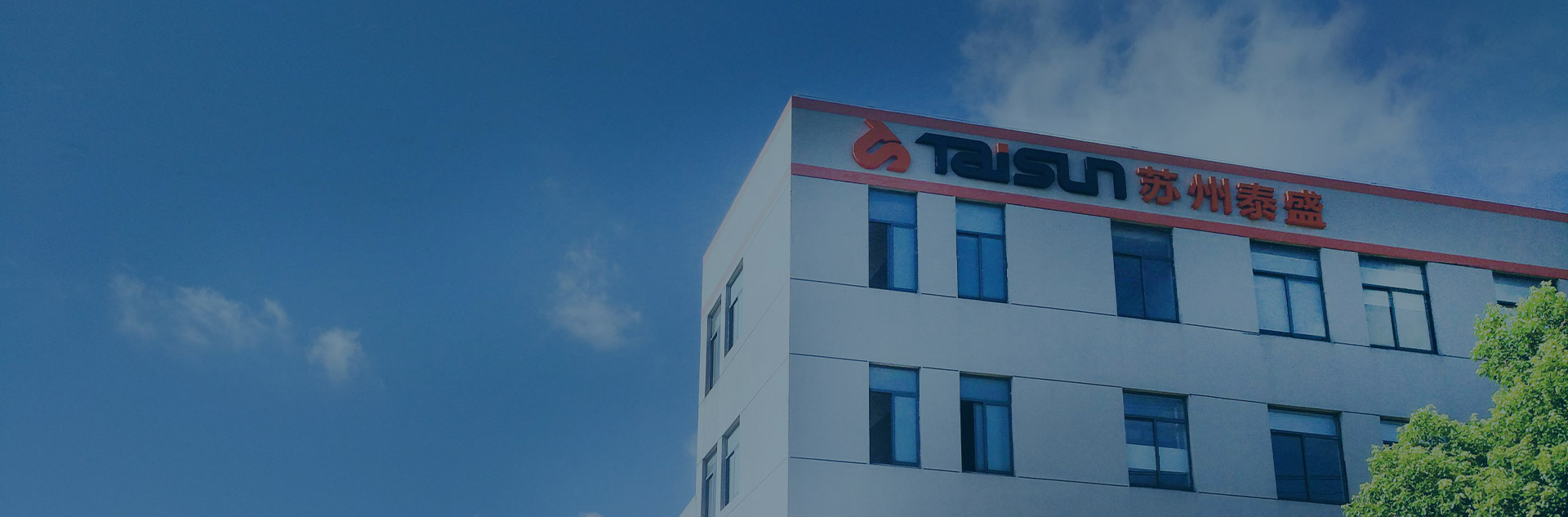 About Taisheng