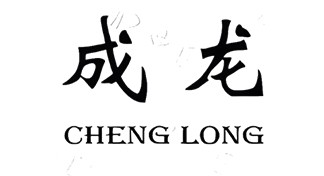 成龙纸业（苏州）有限公司